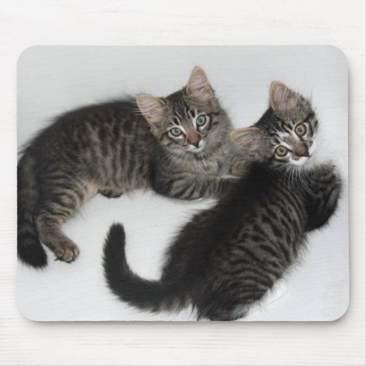 Twee lieve Kittens Muismat (Voorkant)