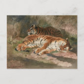 Twee liggende tijgers | Rosa Bonheur Briefkaart (Voorkant)