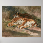 Twee liggende tijgers | Rosa Bonheur Poster (Voorkant)