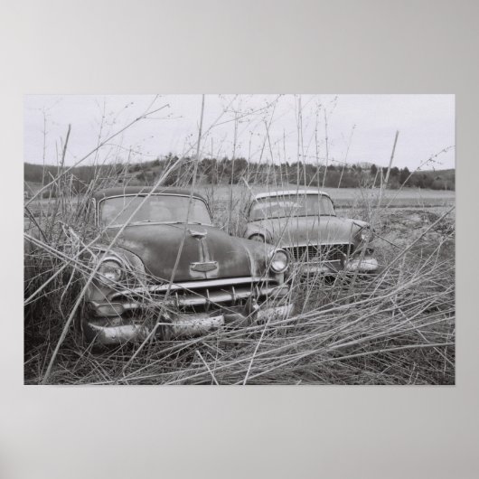 Twee lijken dat waar godies zijn poster (Voorkant)