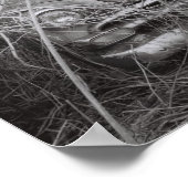 Twee lijken dat waar godies zijn poster (Hoek)