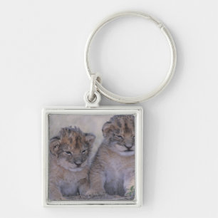 Twee lion Cubs Sleutelhanger