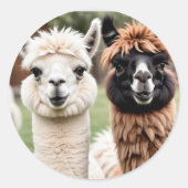 Twee Llama's Ronde Sticker (Voorkant)