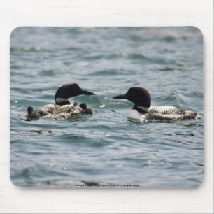 Twee loons met twee baby's muismat