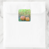 Twee luiers op Cornfield Halloween Stickers (Tas)