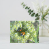Twee luikvogels die het Briefkaart van de schelp i (Staand voorkant)