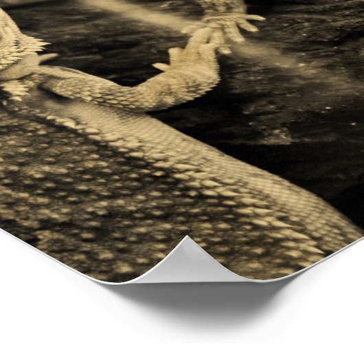 Twee luizen poster (Hoek)