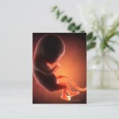 Twee maanden oude foetus briefkaart (Staand voorkant)
