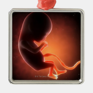 Twee maanden oude foetus metalen ornament