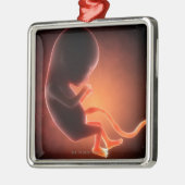 Twee maanden oude foetus metalen ornament (Links)