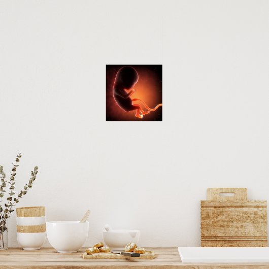 Twee maanden oude foetus poster (Keuken)