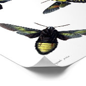 Twee maanden poster (Hoek)