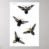 Twee maanden poster (Voorkant)