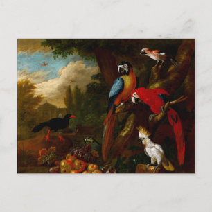 Twee Macaws a Cockato en een Jay met Fruit Briefkaart