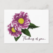 Twee Magenta Pinks Dahlias Denken aan jou Briefkaart (Voorkant)