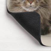 Twee Maine Coon Cats Muismat (Hoek)