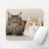 Twee Maine Coon Cats Muismat (Met muis)