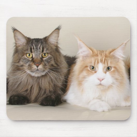 Twee Maine Coon Cats Muismat (Voorkant)