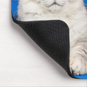 Twee Maine Coon Katten Blauw Mousepad Muismat (Hoek)