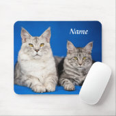 Twee Maine Coon Katten Blauw Mousepad Muismat (Met muis)