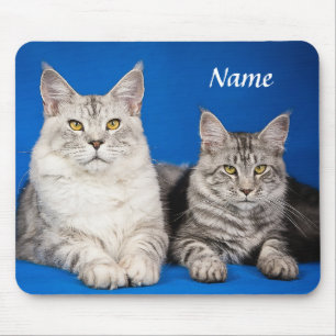 Twee Maine Coon Katten Blauw Mousepad Muismat