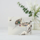 Twee Mallards in de buurt van een met sneeuw bedek Briefkaart (Staand voorkant)