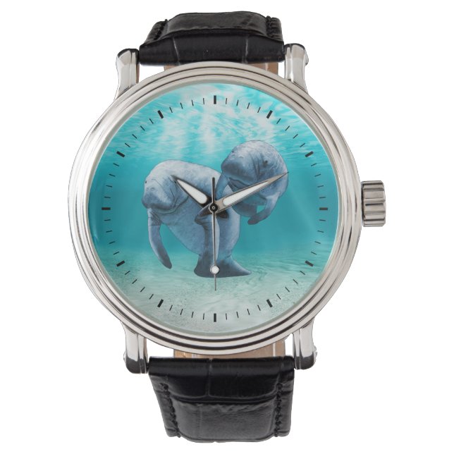 Twee Manatees die zwemmen Horloge (Voorkant)