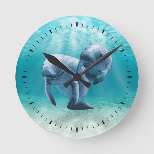 Twee Manatees die zwemmen Ronde Klok (Voorkant)