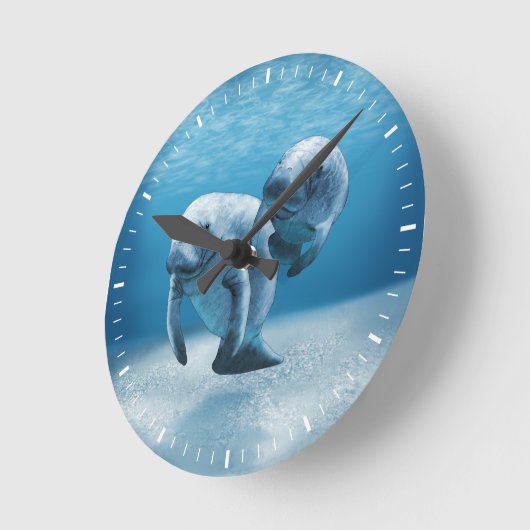 Twee Manatees die zwemmen Ronde Klok (Hoek)