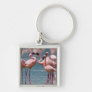 Twee mannelijke kleine flamingo's (Phoenicopterus  Sleutelhanger