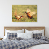 Twee mannelijke ringnek fazanten vechten. canvas afdruk (Insitu (Slaapkamer))