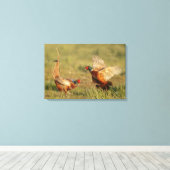 Twee mannelijke ringnek fazanten vechten. canvas afdruk (Insitu (Houten vloer))