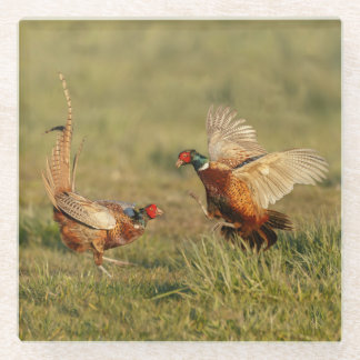 Twee mannetjes die vechten. glazen onderzetter