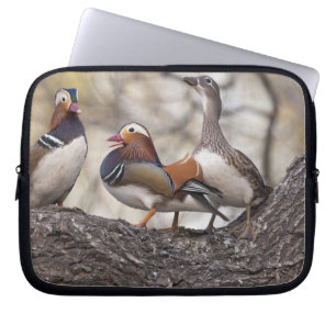 Twee mannetjes die vechten om een vrouwelijke mand laptop sleeve