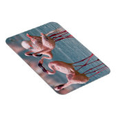 Twee mannetjes met minder vliegende vleugels (Phoe Magneet (Rechterzijde)