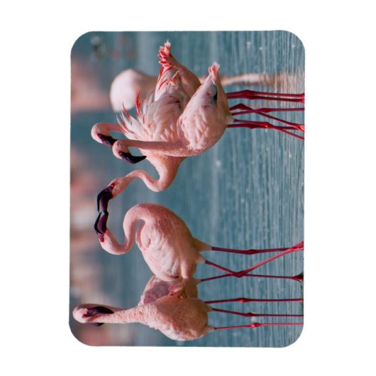 Twee mannetjes met minder vliegende vleugels (Phoe Magneet (Verticaal)