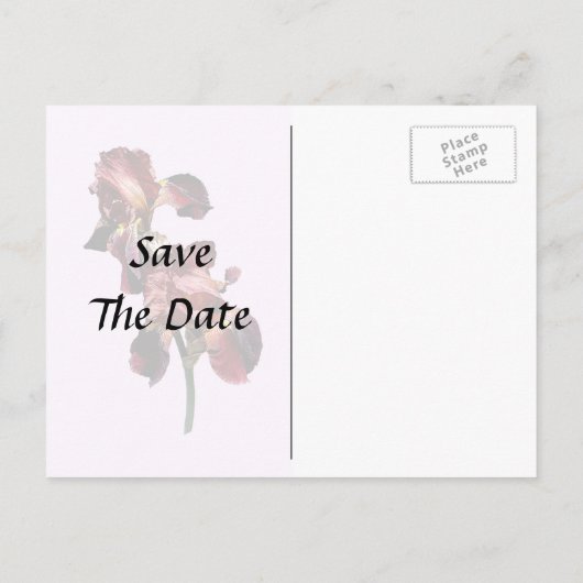 Twee Maroon en Gele Irissen Aankondigingskaart (Achterkant)