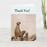 Twee Meerkats dank je wel kaart