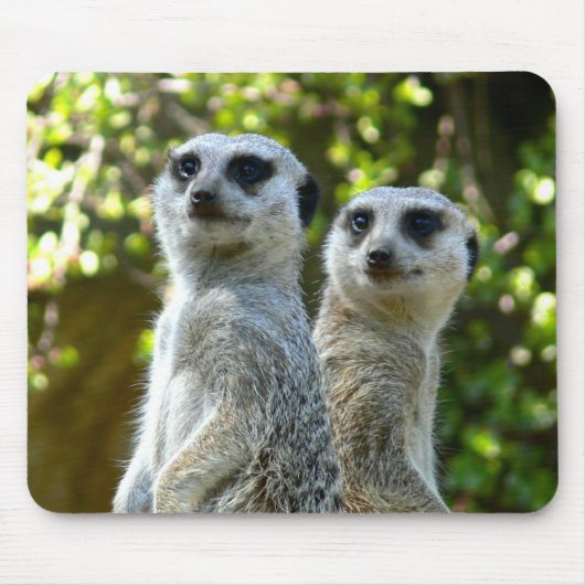 Twee Meerkats Muismat (Voorkant)