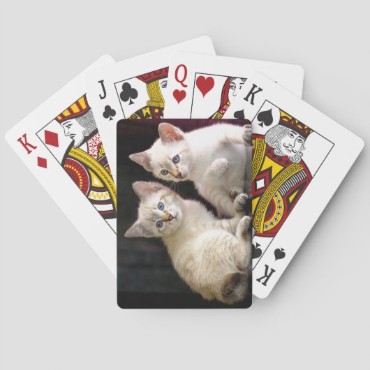 Twee Mekong Bobtail Tabby Point Kittens Pokerkaarten (Achterkant)