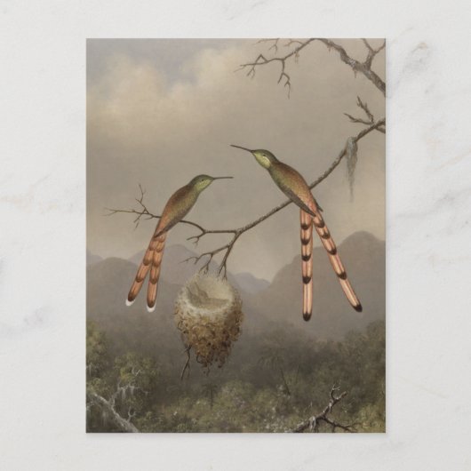 Twee mensvogels met hun jongen briefkaart (Voorkant)