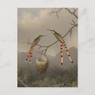 Twee mensvogels met hun jongen briefkaart