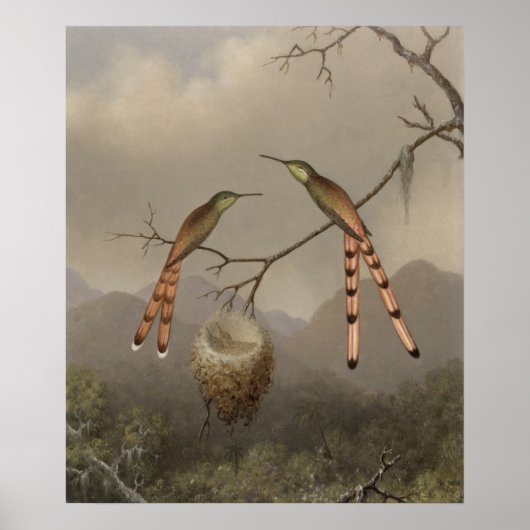 Twee mensvogels met hun jongen poster (Voorkant)