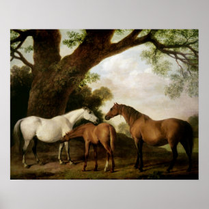 Twee Merries Shafto en een Veulen, 1774 Poster