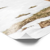 Twee met witte staart op alarm foto afdruk (Hoek)