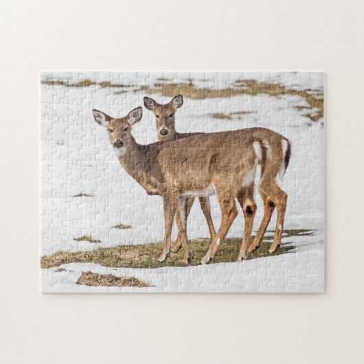 Twee met witte staart op alarm legpuzzel (Horizontaal)