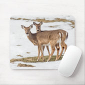 Twee met witte staart op alarm muismat (Met muis)