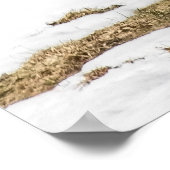 Twee met witte staart op alarm poster (Hoek)