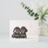 Twee Mini Dachshund-vergaderingen Briefkaart (Staand voorkant)