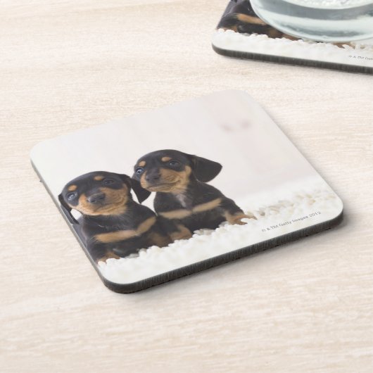 Twee Mini Dachshund-vergaderingen Onderzetter (Linkerzijde)
